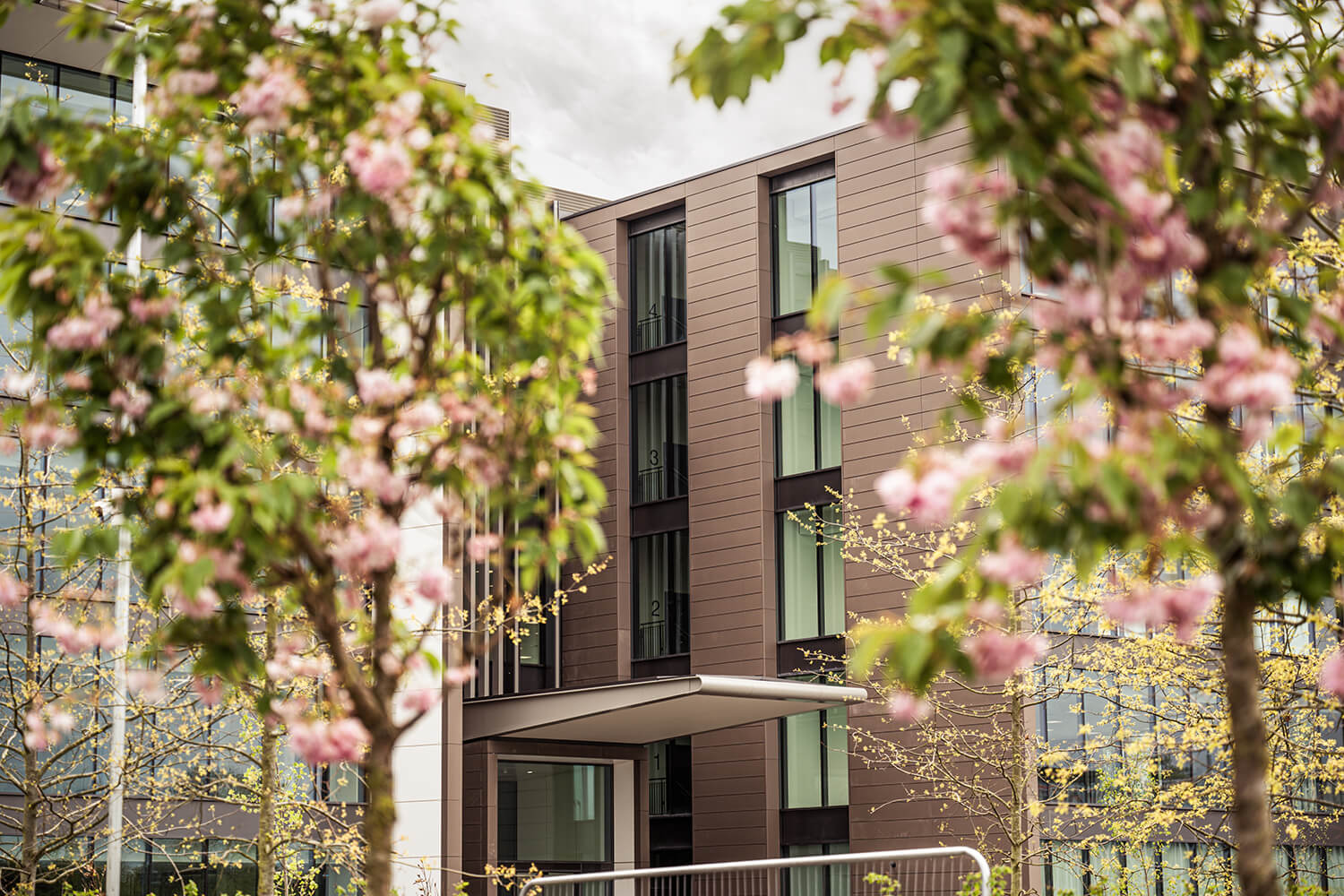 Longwater Avenue, Reading