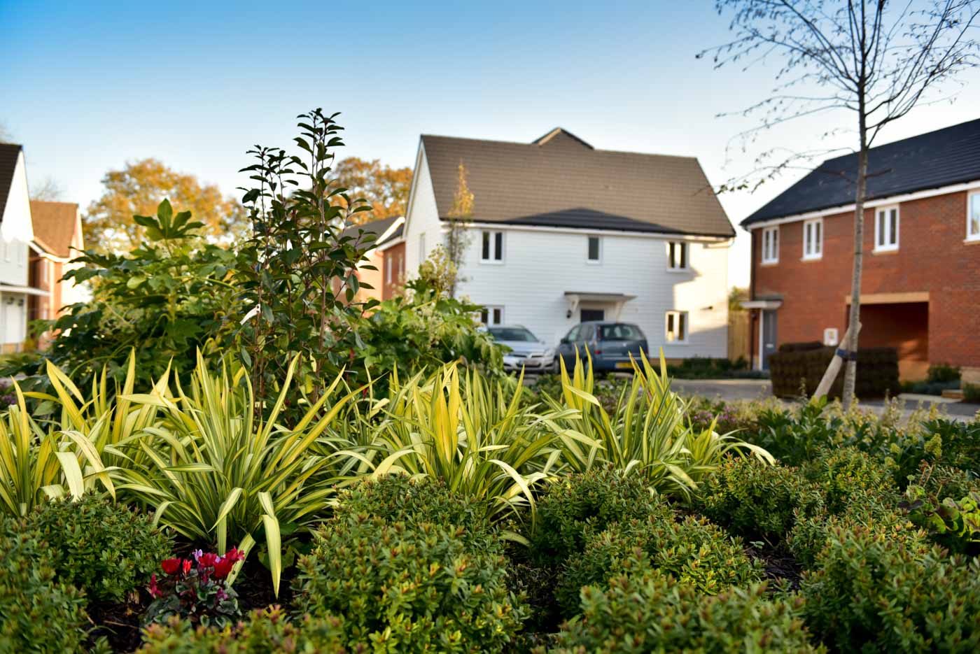 Saxon Mills, Hassocks